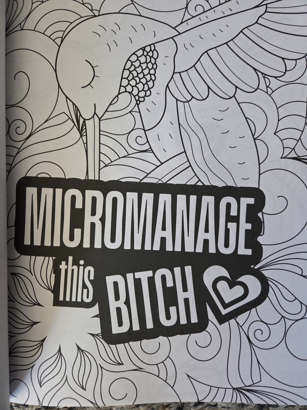 Go Lick a Cactus Adult Swear Words Coloring Book - Pink Green Black Design - Picture 7 of 8